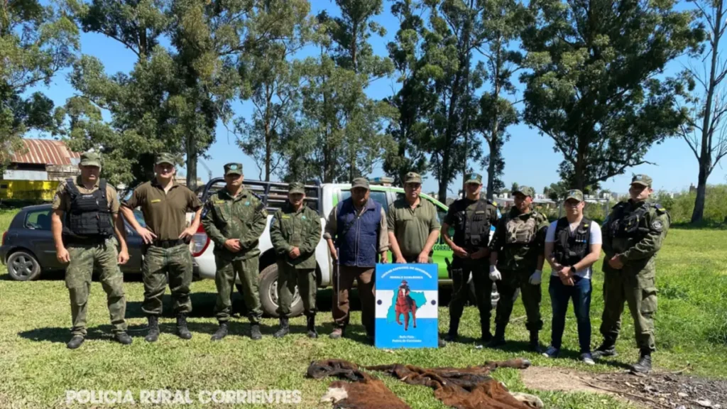Condenan a dos años de prisión a un carnicero de Bella Vista por robar ganado en Corrientes